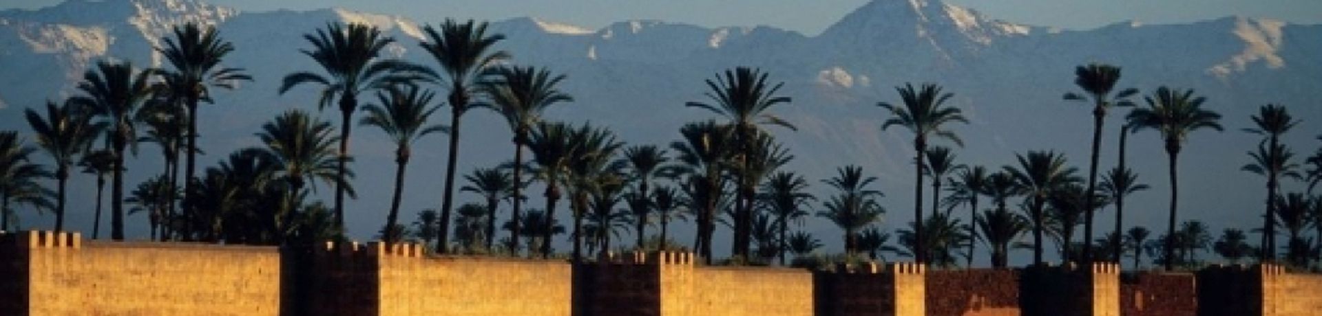 Incentives Powered by Service