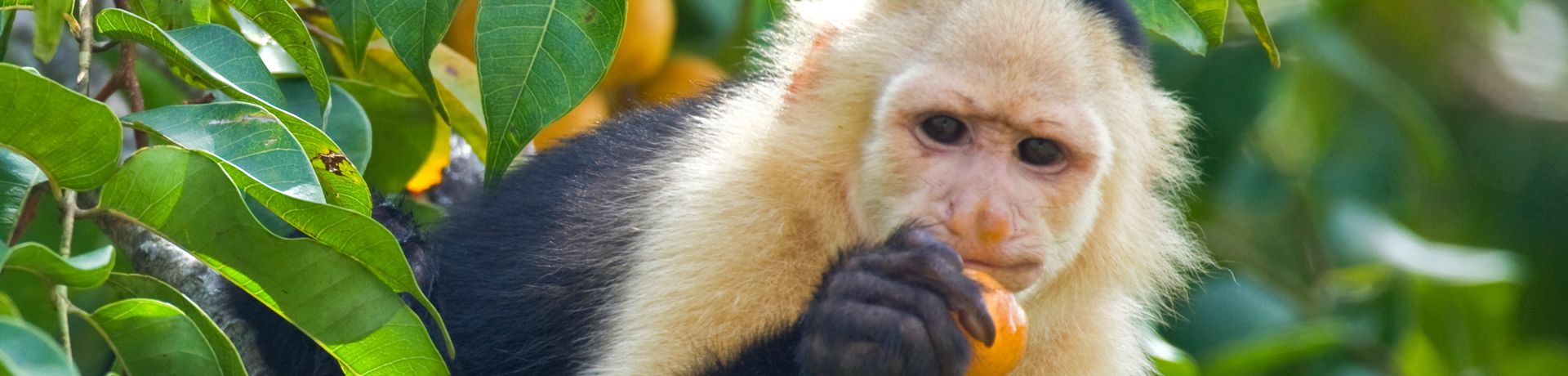Verwen uw relaties in Panama