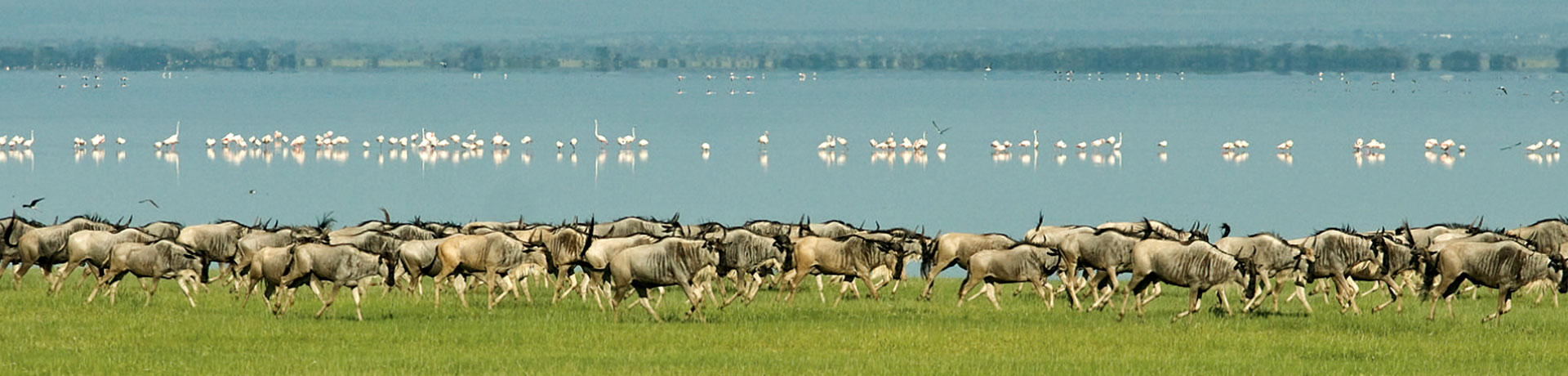 Beloningsreis naar Tanzania