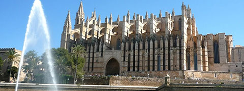 Teambuildingsreis naar Mallorca