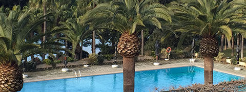 Jubileumreis Mallorca