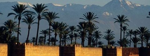 Incentivereis naar Marrakech