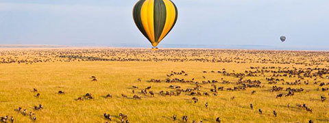 Jubileumreis Tanzania
